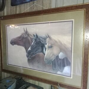 Horse pictuer